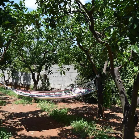 فندق مبيت وإفطار Santa Potenza Felline