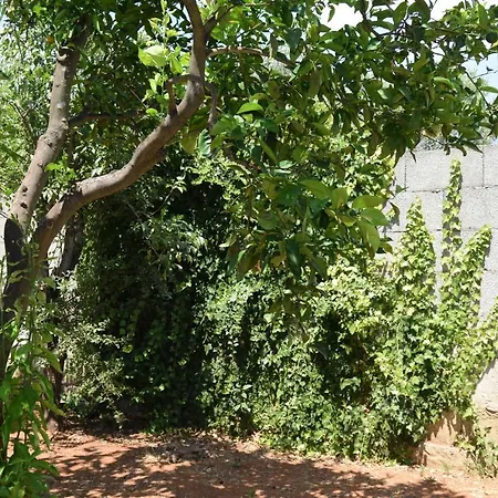 فندق مبيت وإفطار Santa Potenza Felline