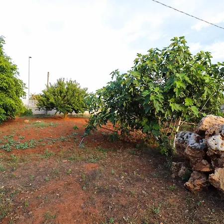 Santa Potenza فندق مبيت وإفطار 3*