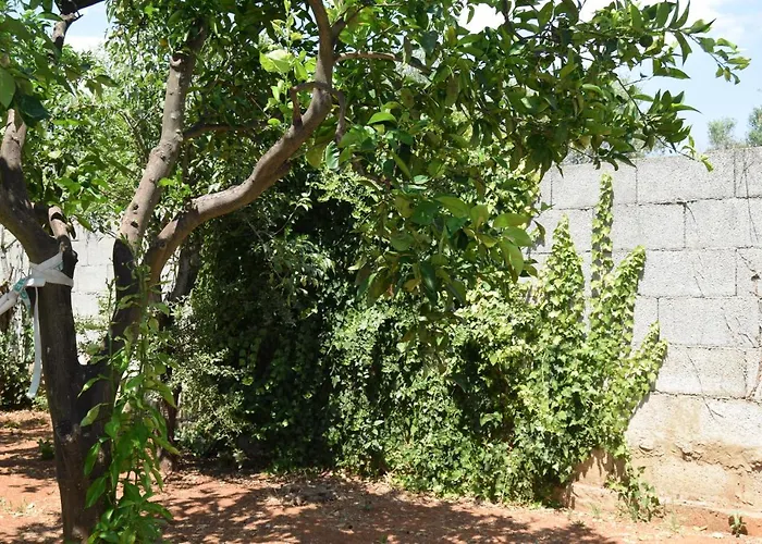 Bed & Breakfast Santa Potenza Felline