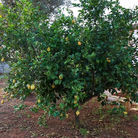 Santa Potenza Alojamento de Acomodação e Pequeno-almoço Felline